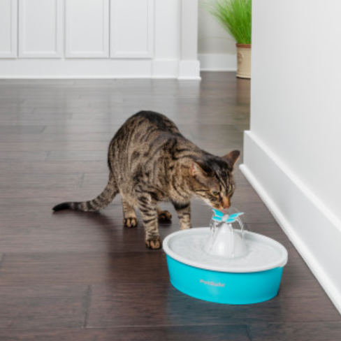 Petsafe Поилка-фонтан для домашних животных