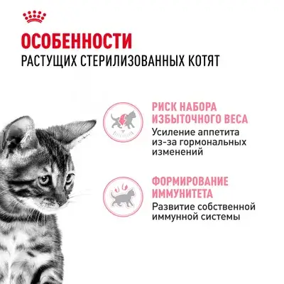 Hrană uscată pentru pisoi ROYAL CANIN KITTEN Sterilised GRAVE 85g x 12 bucăți