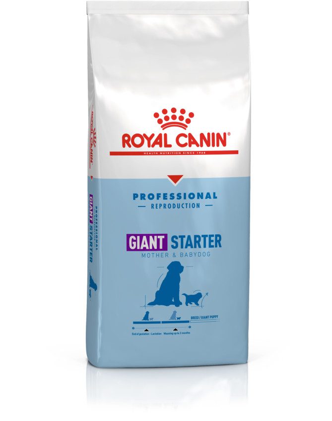 ROYAL CANIN GIANT Starter Mother & Babydog 1–2 months