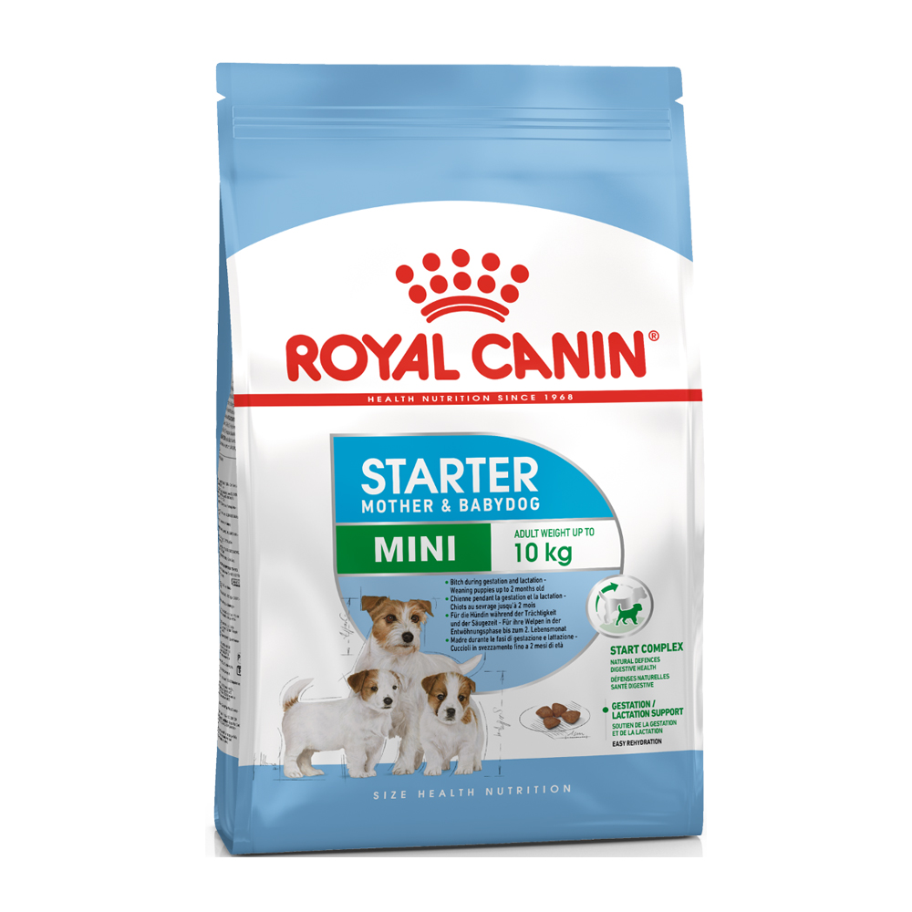 ROYAL CANIN MINI STARTER 4kg