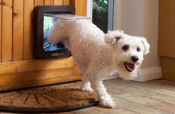 SURE FLAP Ușiță Microchip Pet Door White