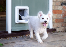 SURE FLAP Ușiță Microchip Pet Door White