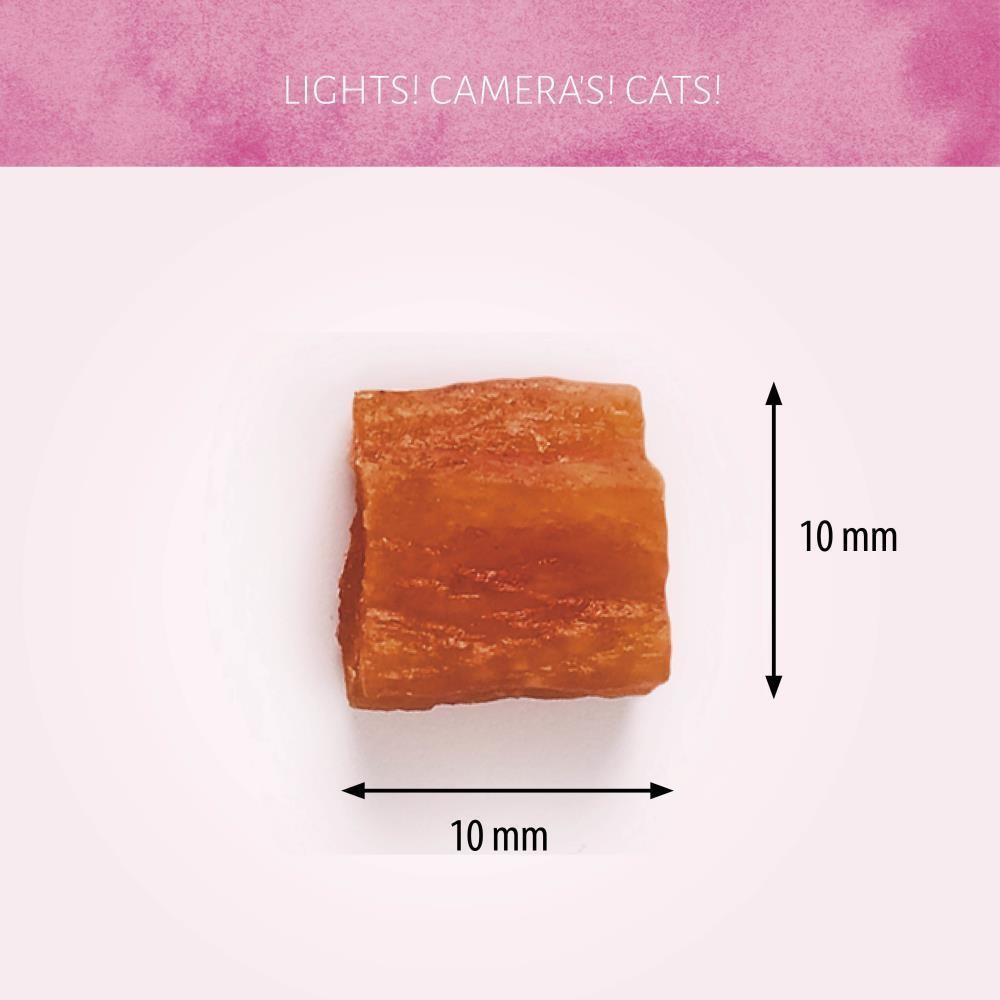 Antos Cat Treats Cubed Salmon 50gr